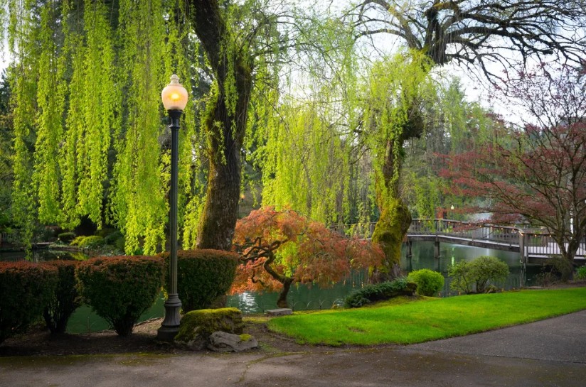 Outdoor garden wedding with ponds and fountains in Oregon