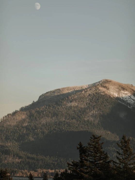 Skamania Lodge wedding in Stevenson Washington with panoramic Columbia River Gorge views, Riverview Pavilion reception, and luxury resort amenities